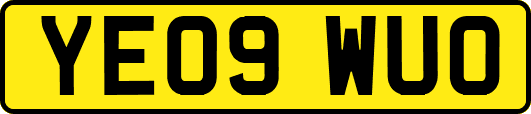 YE09WUO