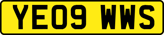 YE09WWS