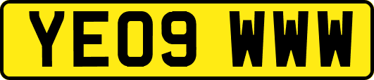 YE09WWW