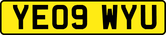 YE09WYU