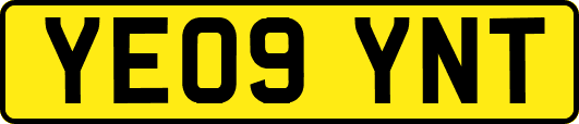 YE09YNT