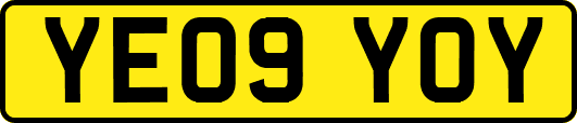 YE09YOY