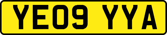 YE09YYA