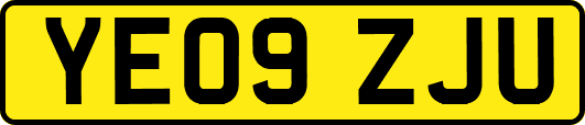 YE09ZJU