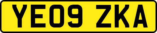 YE09ZKA
