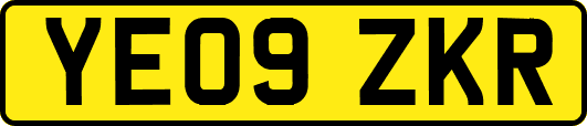 YE09ZKR