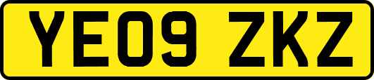 YE09ZKZ