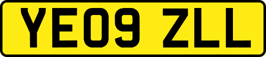 YE09ZLL