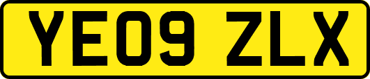 YE09ZLX