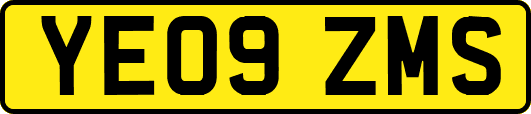 YE09ZMS