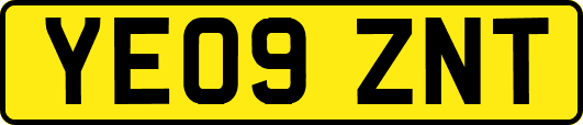 YE09ZNT