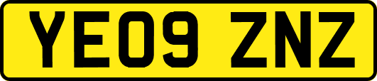 YE09ZNZ