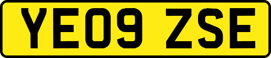 YE09ZSE