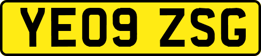 YE09ZSG