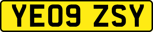 YE09ZSY
