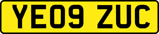 YE09ZUC
