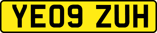 YE09ZUH