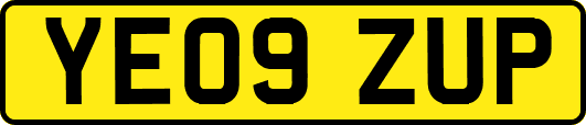 YE09ZUP