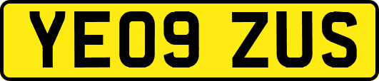 YE09ZUS
