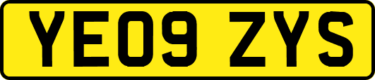 YE09ZYS