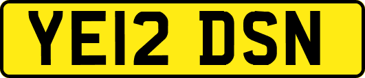 YE12DSN
