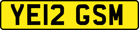 YE12GSM