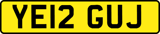 YE12GUJ
