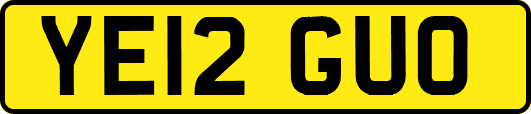 YE12GUO