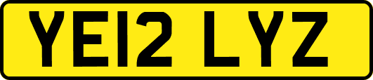 YE12LYZ