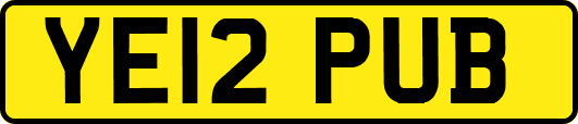 YE12PUB