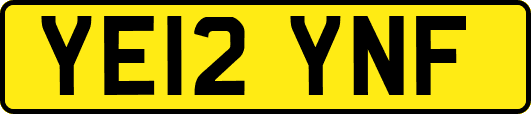 YE12YNF