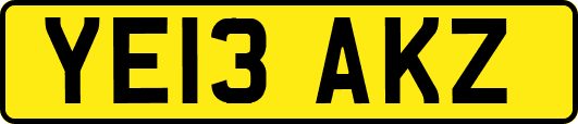 YE13AKZ