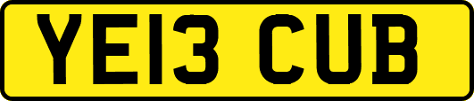 YE13CUB