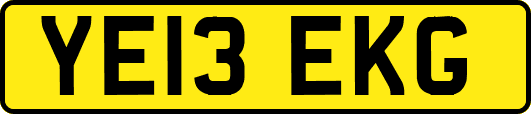 YE13EKG