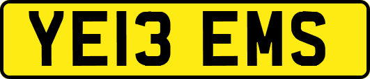 YE13EMS