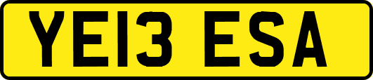 YE13ESA
