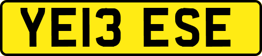 YE13ESE