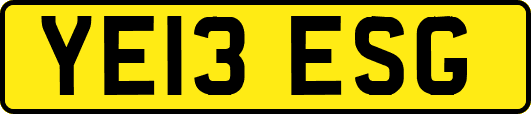YE13ESG
