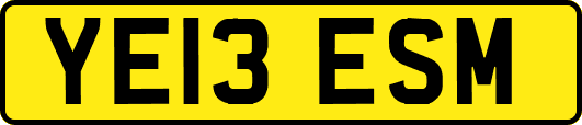 YE13ESM