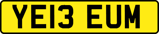 YE13EUM