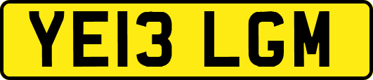 YE13LGM