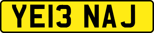 YE13NAJ