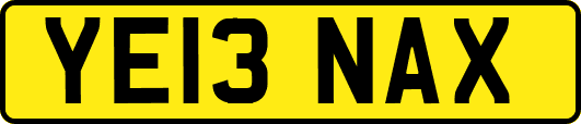 YE13NAX