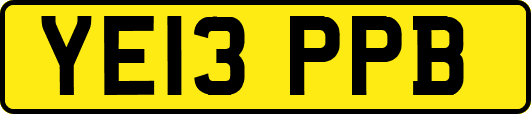 YE13PPB