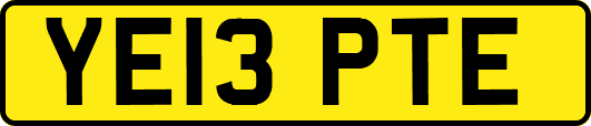YE13PTE