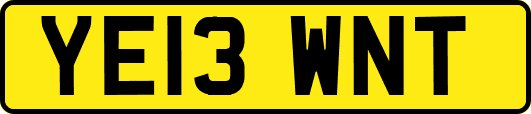 YE13WNT