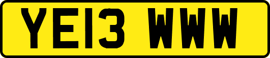 YE13WWW