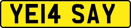 YE14SAY