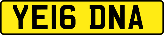 YE16DNA