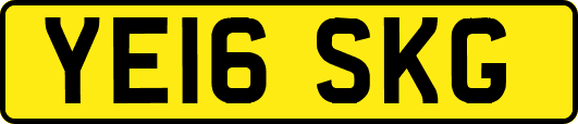YE16SKG
